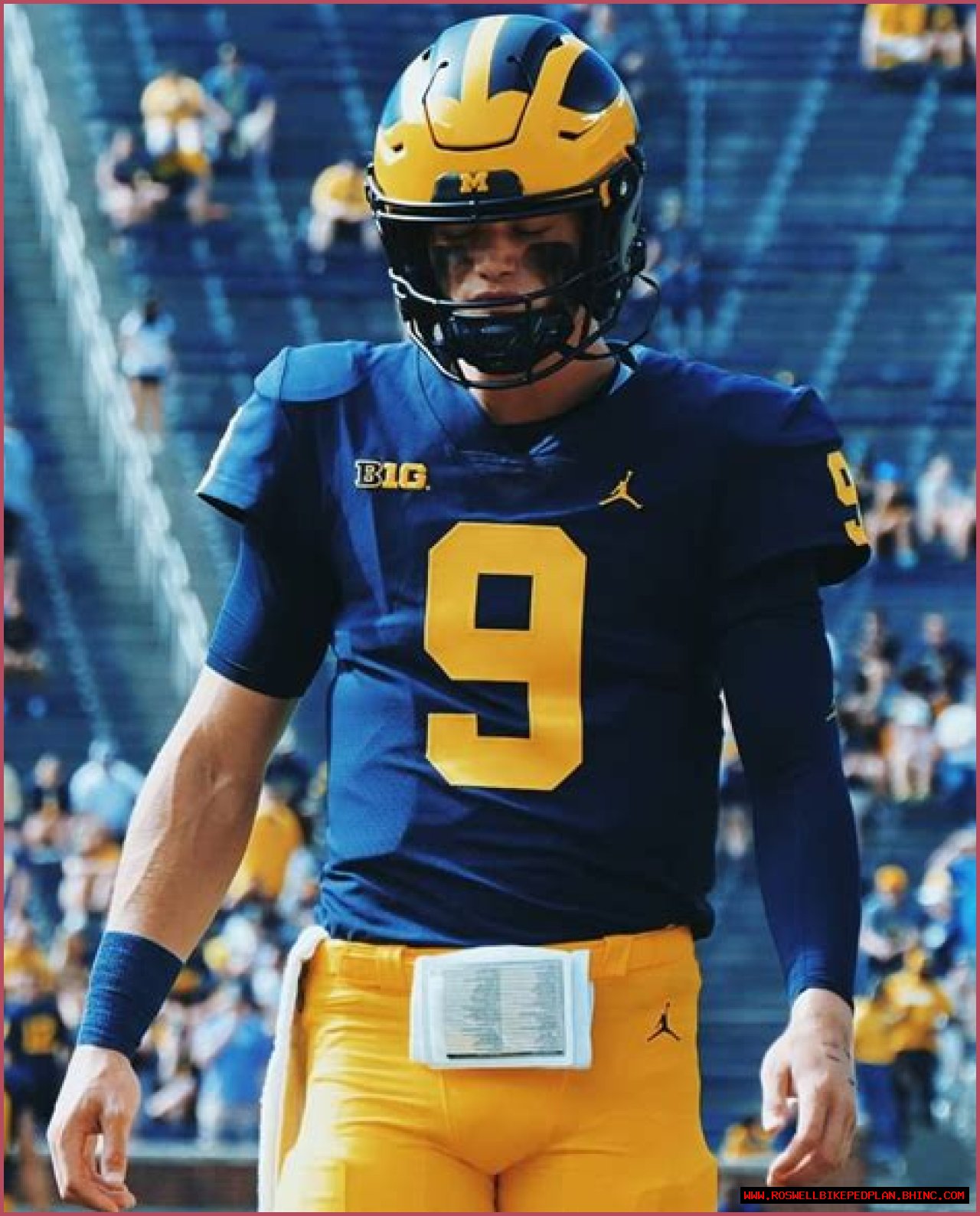 Are JJ Mccarthy And Mike Mccarthy Related? Family Tree And Net Worth Difference